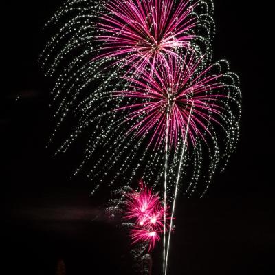 Palmiers de feu