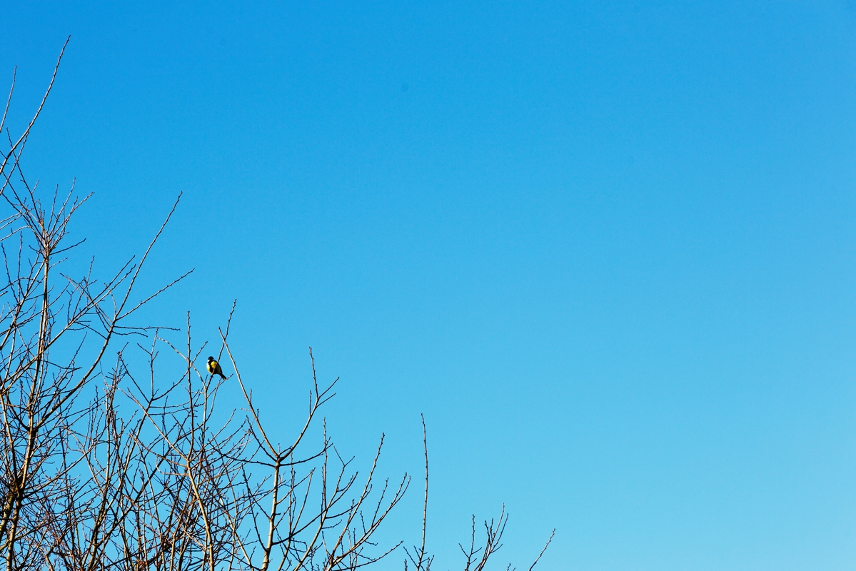 Ciel du matin