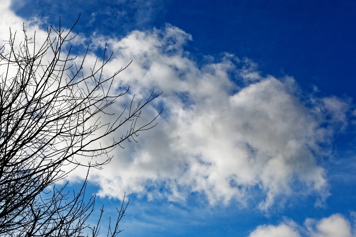 Cumulus