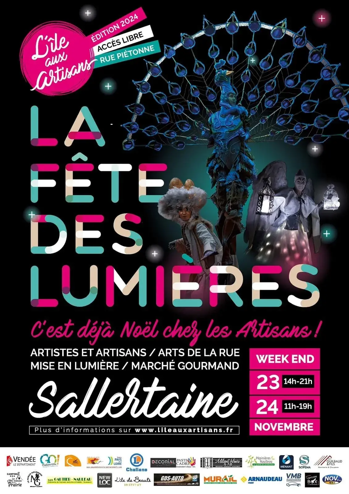 Fete des lumieres 8